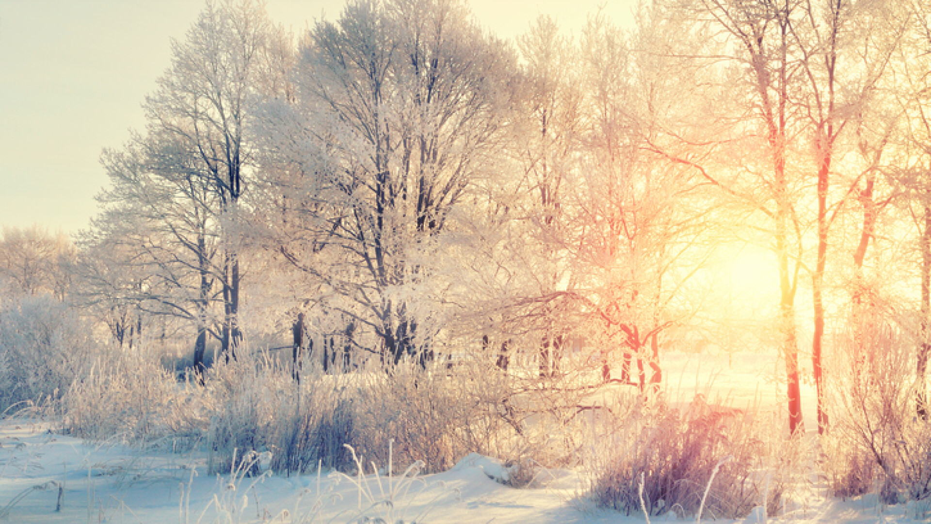 Maxime de până la 11 grade în acest weekend. Vremea se răcește de săptămâna viitoare