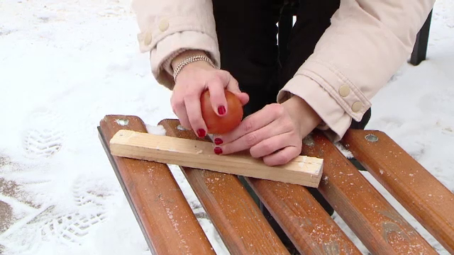 Experiment la minus 21 de grade Celsius. Ce se întâmplă cu o roşie care a stat 12 ore în ger