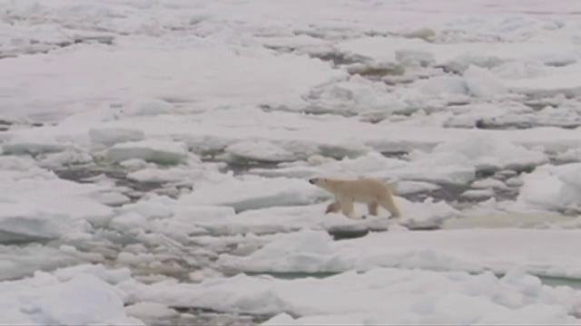 incalzire globala, temperaturi, climatolog, gheata