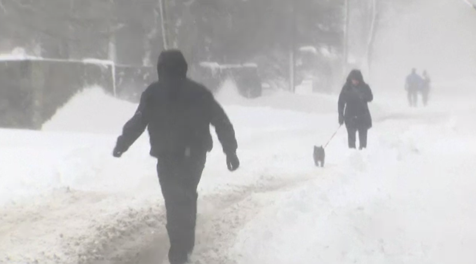 Furtuna Emma a provocat haos în Europa. Rafturile din magazine, golite de oamenii speriați