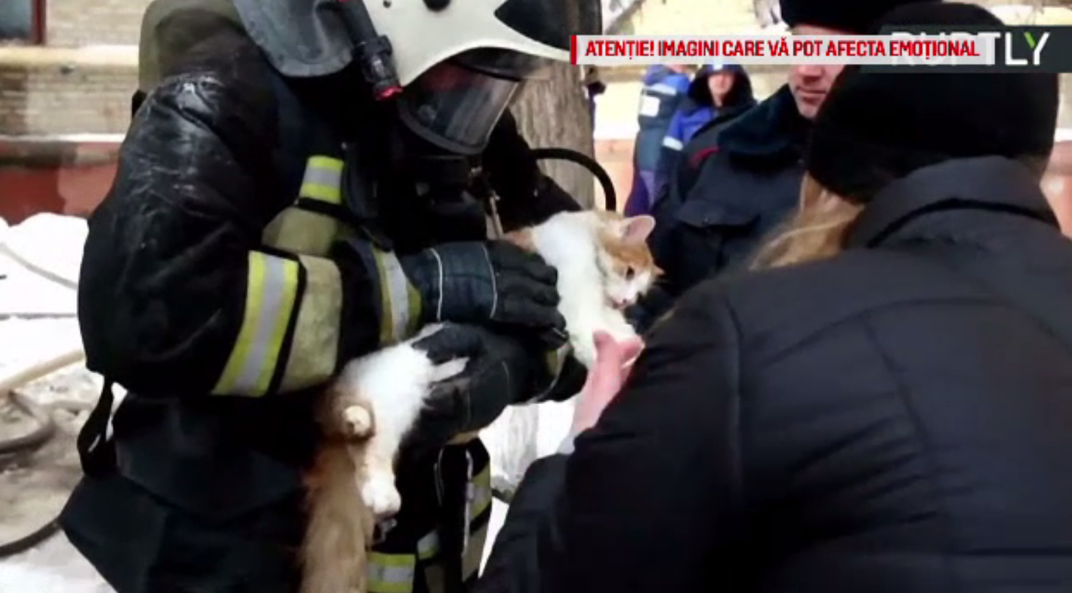 Operaţiune de salvare dramatică. O pisică a fost scoasă în ultimul moment din flăcări