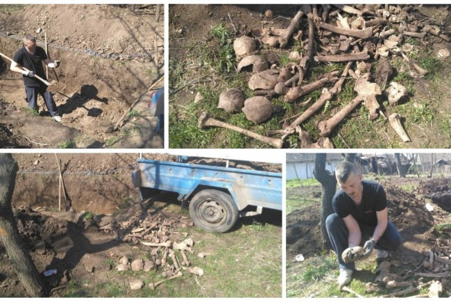 Cranii și oase umane, într-o curte din Arad. Misterul descoperirii sinistre se adâncește