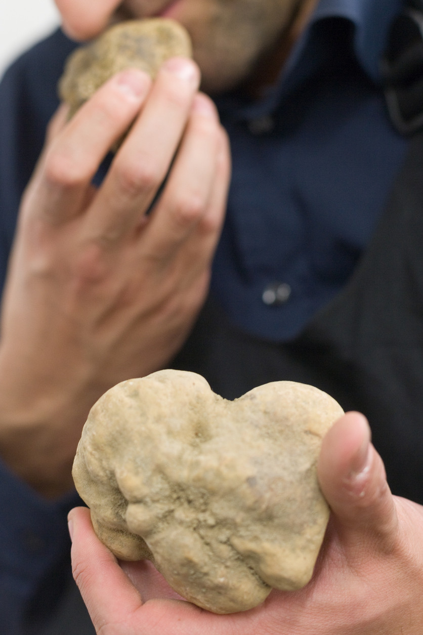 Amendă de 100.000 de euro, pentru un italian care a făcut contrabandă cu trufe