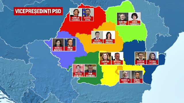 harta vicepresedinti PSD