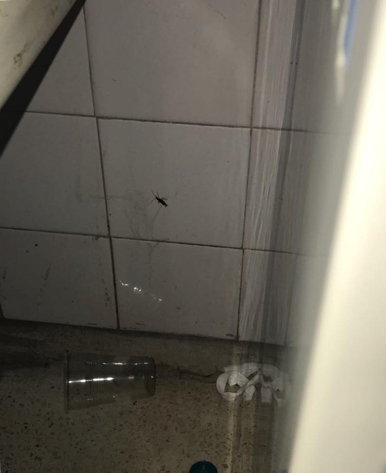 Spital Alexandra Stan