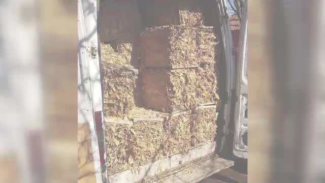 Percheziții la 30 de adrese, într-un dosar privind trafic cu tutun de contrabandă