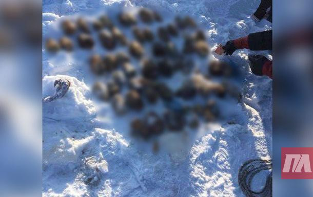 Sac cu 54 de mâini tăiate, găsit într-un râu din Siberia. Ipotezele şocante ale poliţiei