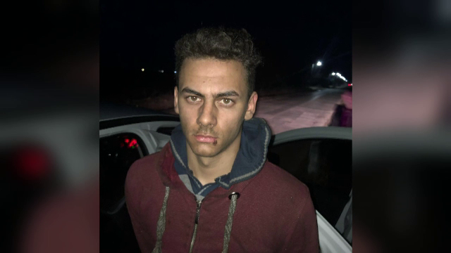 Autorul unui accident mortal de circulație, ascuns în pădure, prins cu un câine de urmă