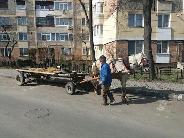 A legat căruţa în faţa farmaciei, ca să ia medicamente, iar un trecător i-a furat-o