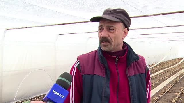 Roșiile ajung mai târziu și mai scumpe în piețe. Pierderi masive pentru fermieri