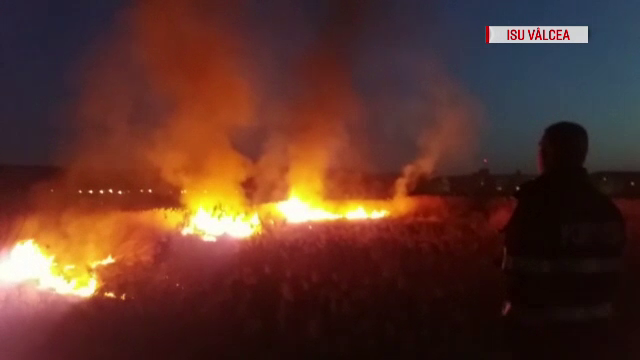 Incendiu de vegetație, pe o suprafață de 5.000 de metri pătrați, într-un cartier din Râmnicu Vâlcea