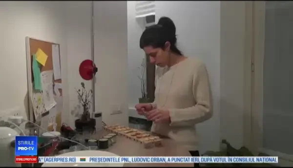 Cine inedite pentru nonconformiști: garnitură cu greieri marinați și înghețată cu viermi de ceară