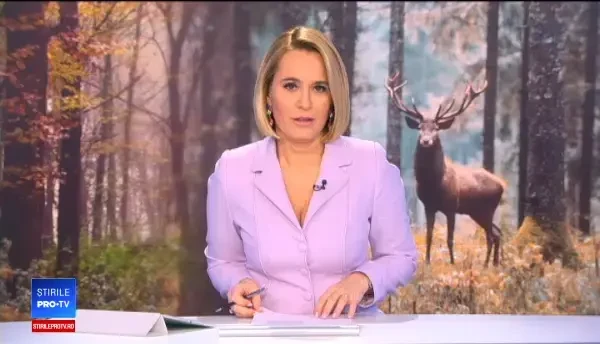 Imagini surprinzătoare cu un cerb surprins în Caraș-Severin