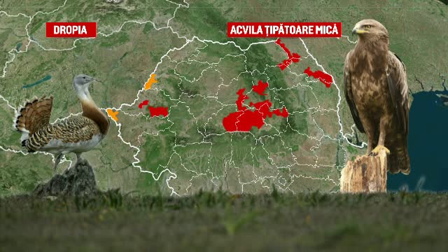 Bani europeni pentru fermierii care protejează fluturii sau păsările rare