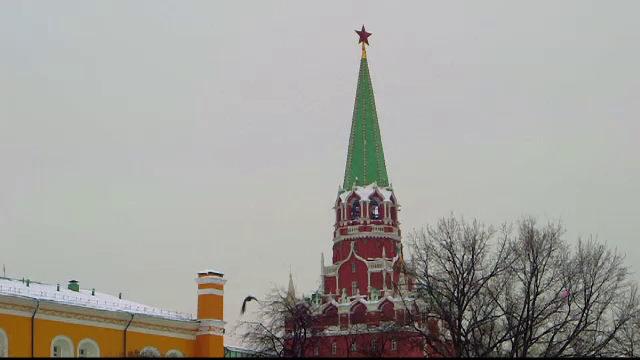 Kremlinul, apărat cu păsări de pradă. Informaţiile despre ele sunt secrete