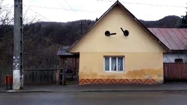 Alertă în Vişeu de Sus! O femeie a fost găsită moartă în casă, suspectul e un recidivist