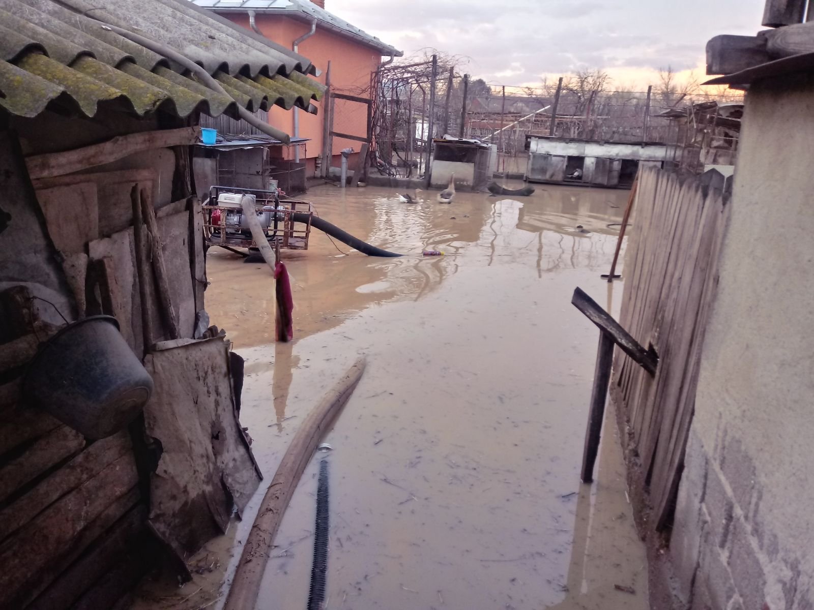 inundații Olt