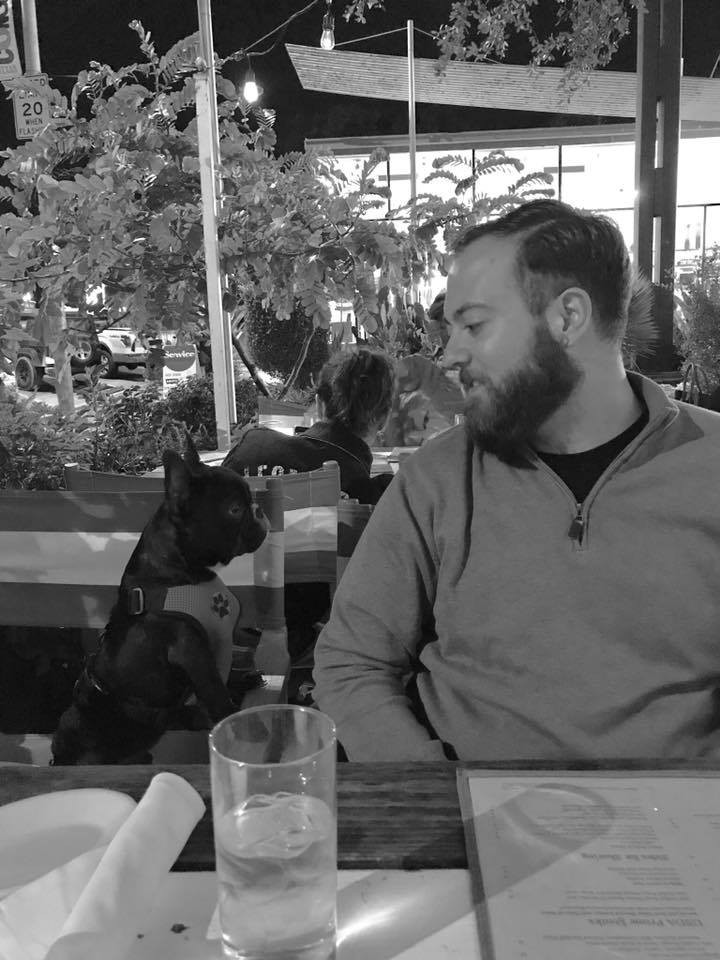 bulldog francez care a murit in avion