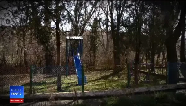 Problemele scoase la lumină de tragedia din Timișoara. Părerile psihologilor criminaliști