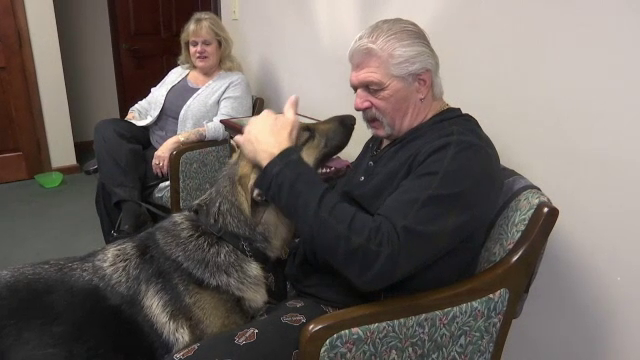 Un bărbat care a avut un accident vascular, salvat de la moarte de propriul câine