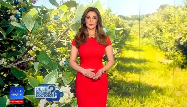 De ce este bine să mâncăm afine în fiecare zi. Care sunt beneficiile