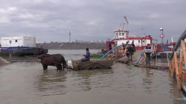 Alertă pe Dunăre. Nivelul fluviului a crescut cu aproape jumătate de metru