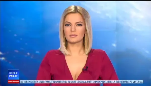 Arme de foc introduse ilegal în România. Descoperirea făcută de poliție