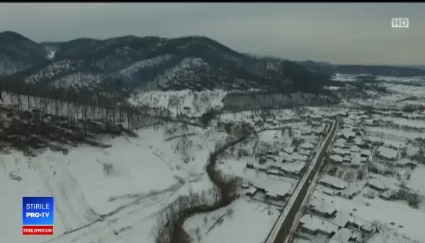 Dezastru provocat de ploaia înghețată: o pădure uriașă a fost pusă la pământ