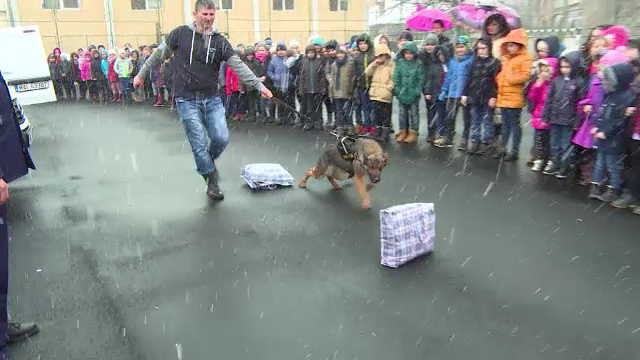 Zarvă mare în curtea unei şcoli din Târgu Jiu. Elevii au fost fascinaţi de tehnică de intervenţie a agenţilor