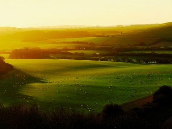 România își vinde pământul cel mai ieftin din UE. 40% din suprafaţa arabilă a țării aparține străinilor