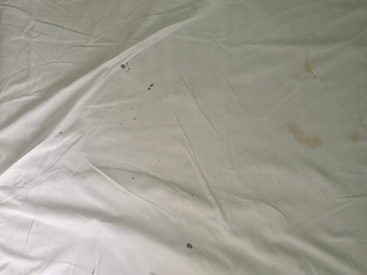 Un tată cu copilul internat, revoltat după anunțul lui Toader: ”Locul vostru e la pușcărie, nu în Guvern”