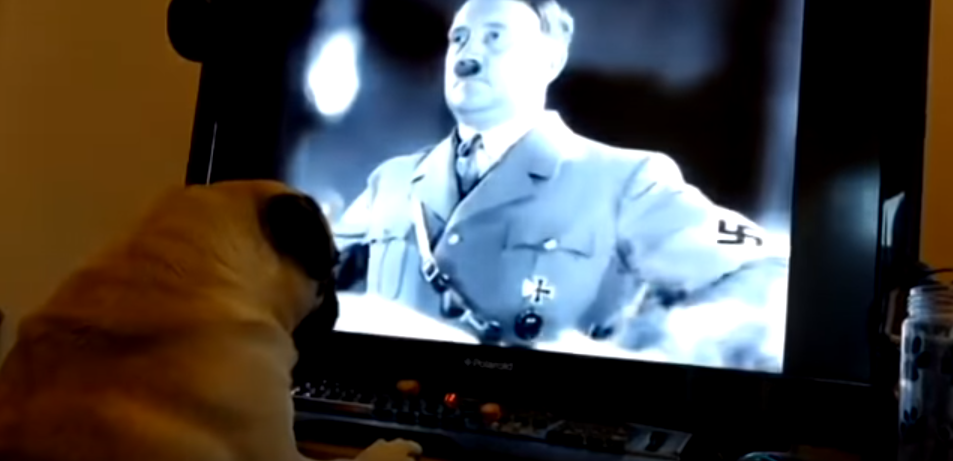 Un bărbat riscă să ajungă după gratii, după ce și-a învățat câinele să facă salutul nazist