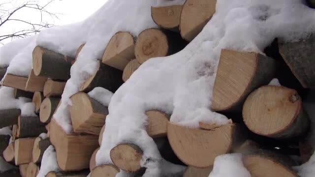 Un tânăr a jefuit un întreg sat, promiţând că aduce lemne. Câţi bani a strâns