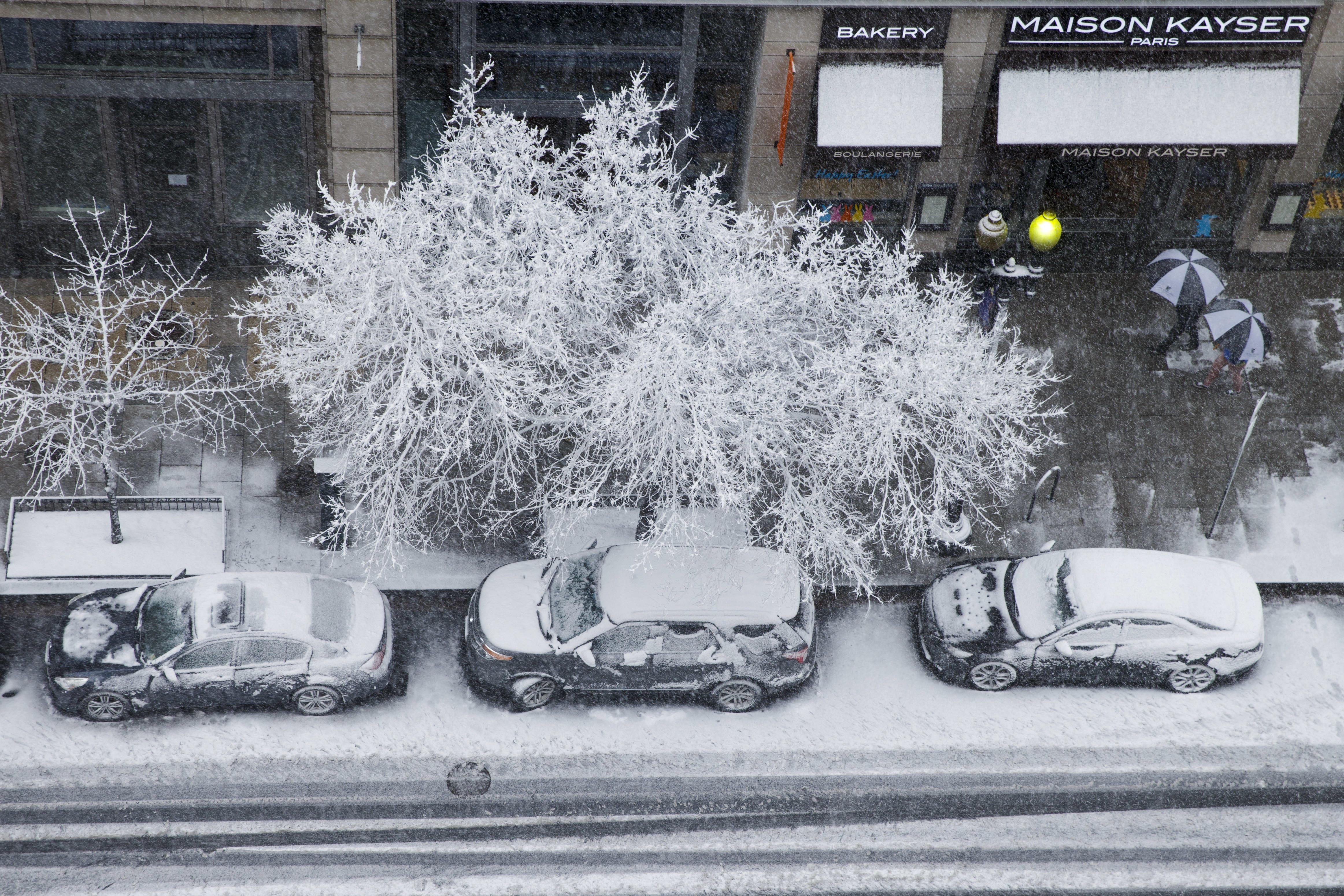 Sediile instituțiilor publice din Washington DC, închise din cauza ninsorilor abundente