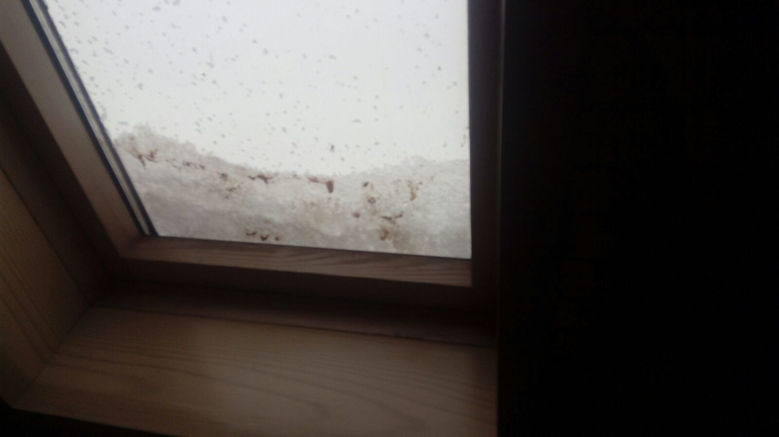 zapada portocalie fetesti