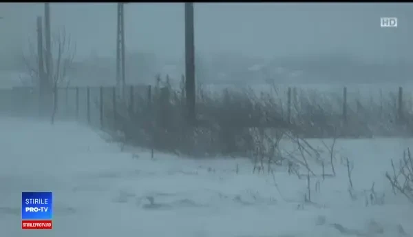 Accidente în lanț din cauza valului polar. Un șofer a rupt un stâlp și s-a electrocutat