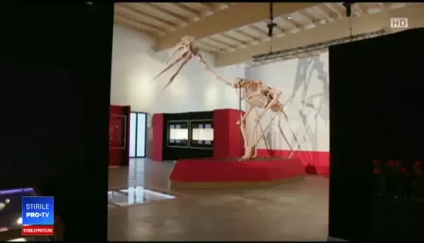 ”Fosilele lui Dracula”, monstrul preistoric, cu aripi, descoperit la Sebeș: Este fără precedent în lume