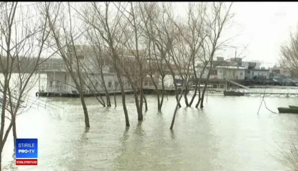 Dunărea a depășit cota de atenție și crește periculos. Suntem cam speriați