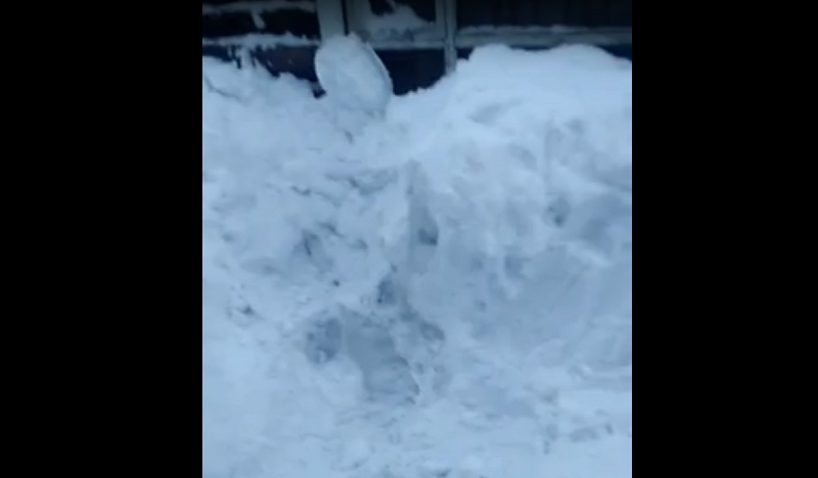 O femeie din Rusia a supravieţuit după ce a fost îngropată 4 ore în zăpadă