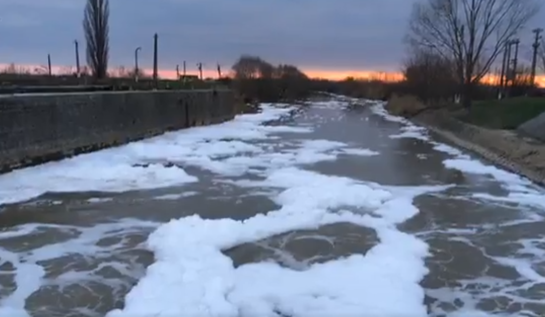 Apă cu spumă în Timiș, filmată de un tânăr. Apele Române: ”Este un fenomen normal”