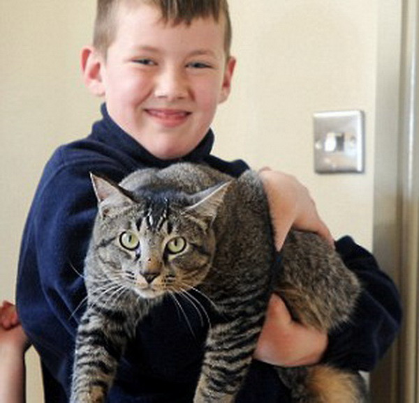 O pisică s-a întors acasă la 2 zile după ce stăpânii i-au înmormântat ”rămășițele”. ”E un miracol”