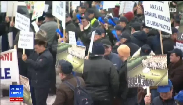 Peste 1000 de medici veterinari protestează în Capitală