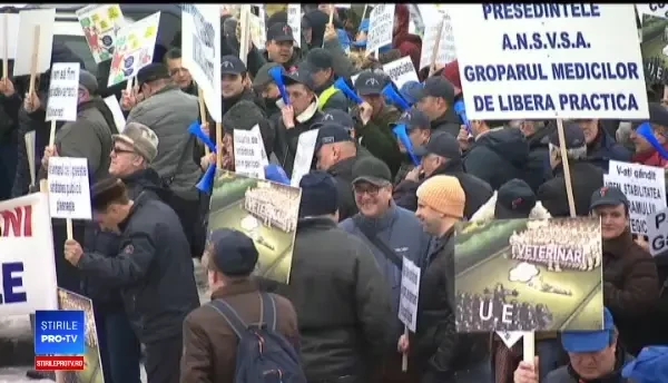Protest al medicilor veterinari, în Capitală. Avertismentul legat de o ordonanță recent aprobată