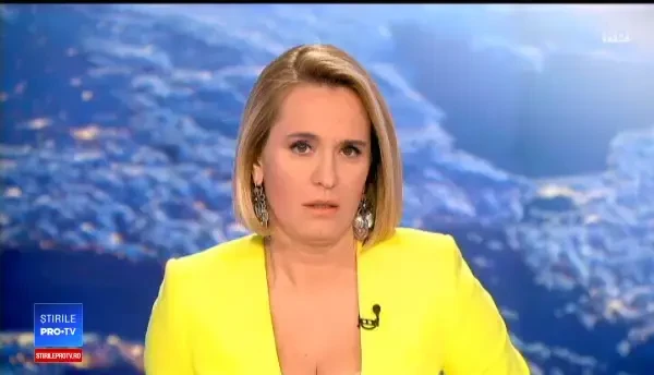 Schweighofer vinde cele peste 14.000 de hectare de păduri din România