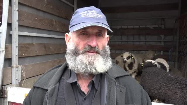 Carnea de miel, mai scumpă în acest an. Explicaţiile ciobanilor