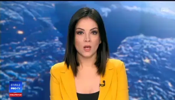 Pumă, tranchilizată de polițiștii americani după ce a fost surprinsă în curțile oamenilor