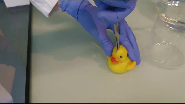 Rățuștele din cauciuc, posibil pericol pentru copii