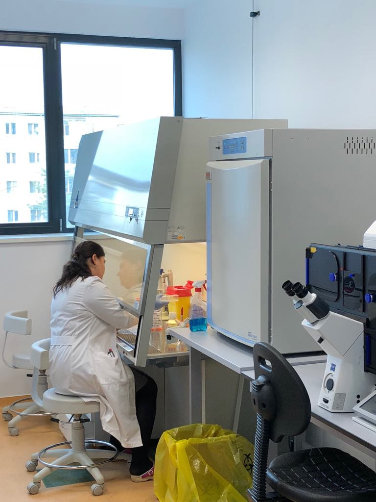 Rares Nastase in Romania