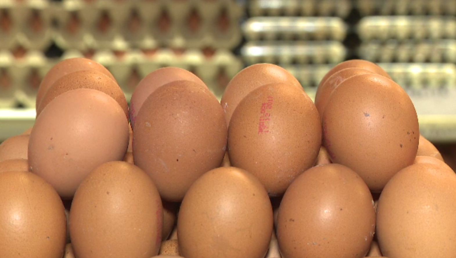 Consiliul Concurenţei verifică prețurile ouălor. Cei care le-au umflat nejustificat riscă amenzi