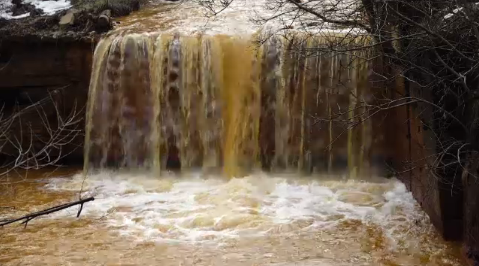 Dezastru în Maramureș. Peștii din râul Lăpuș au murit din cauza apei portocalii